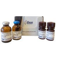 Amp'd® ELISA Signal Amplification Kit, Enzo Life Sciences 